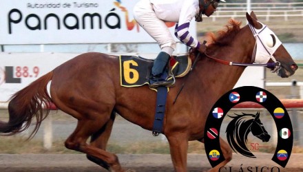 10 B Silueta Cortesia