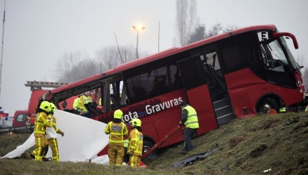 bus
