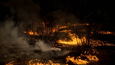 chile incendios bosque 63016