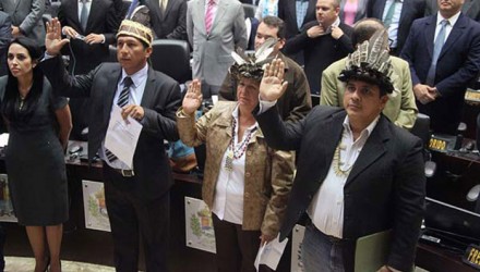 diputados amazonaz