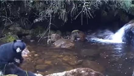 Capturaaaaaa