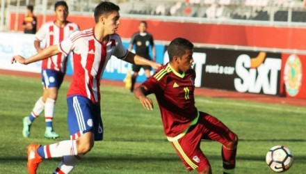 vinotinto 6