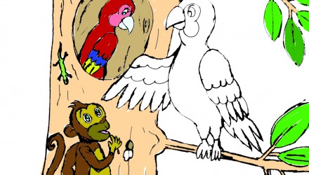 Guacamayo y monito 1