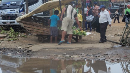 REG 230317 PLATANEROS F SANCHEZ 8