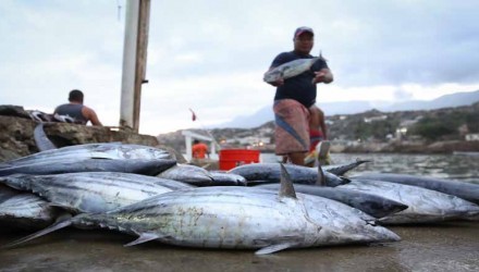 dxa del pescador artesanal 04
