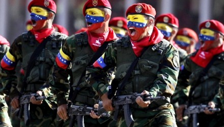 ejercito militar fanb 1