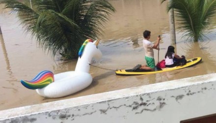 unicornio