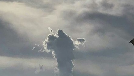 cielo