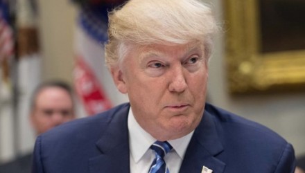donald 678x381