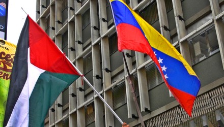 palestina y venezuela
