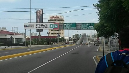 Delicias 1