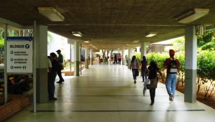facultad