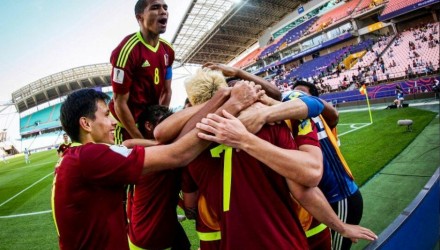 vinotinto