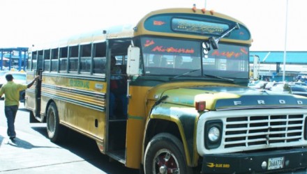 BUS