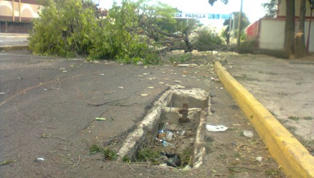 Foto0409
