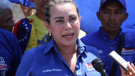 IMG 1379 Copiar 1