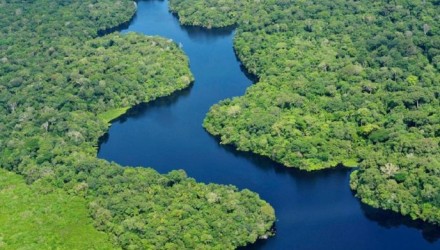 AMAZONAS