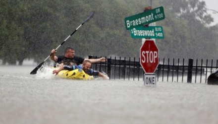 harvey.jpg 230410648