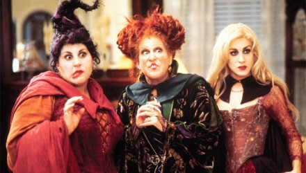364421 hocus pocus