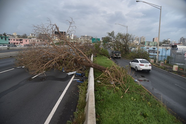 A tree blocks a street in Santurce, in San Juan, Puerto Rico, on September 21, 2017. Puerto Rico braced for potentially calamitous flash flooding on Thursday after being pummeled by Hurricane Maria which devastated the island and knocked out the entire electricity grid. The hurricane, which Puerto Rico Governor Ricardo Rossello called "the most devastating storm in a century," had battered the island of 3.4 million people after roaring ashore early Wednesday with deadly winds and heavy rain.  / AFP PHOTO / HECTOR RETAMAL