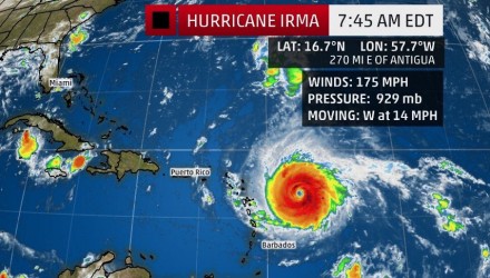 Irma 1