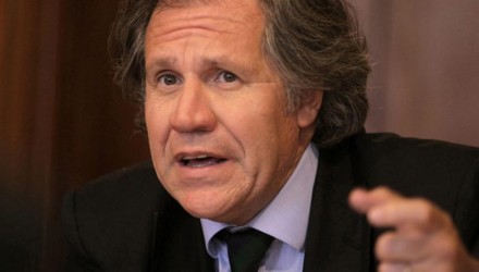 Luis Almagro OEA Foto cortesia 696x463