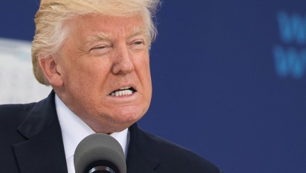 trump cejas