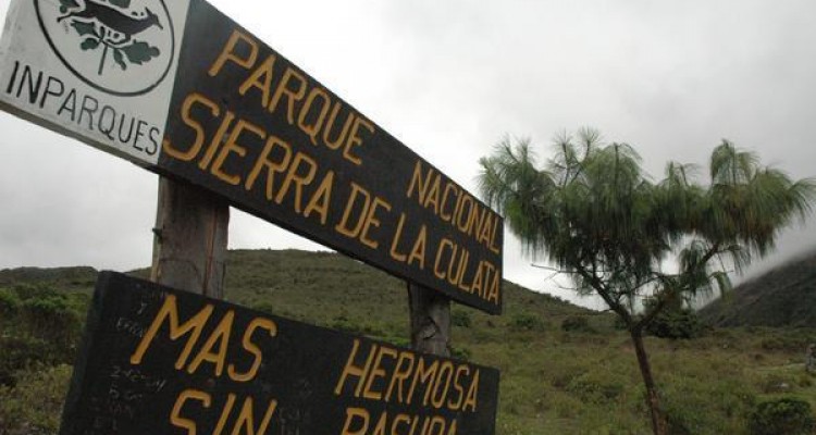 108122 26 Parque Nacional Sierra de La Culata 1