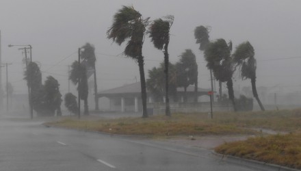 Harvey 16