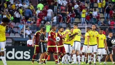 La vinotinto