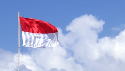 wavingflag