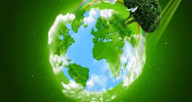 dia mundial de la ecologia 696x557