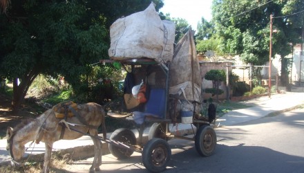 DSCF0675