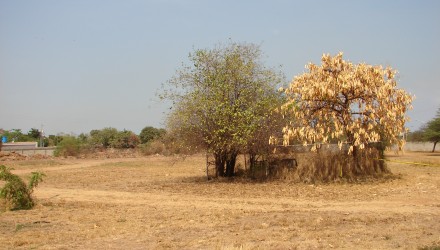 A1 2