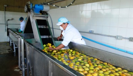 23.08.2013 RE INAUGURACION DE FRUTIMARCA 015 1