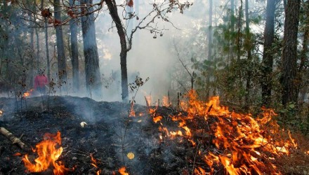 incendio