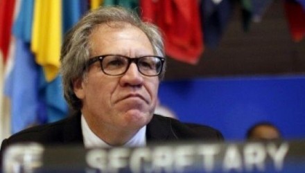 luis almagro oas venezuela.jpg 1718483347