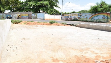 DSC 0013 1