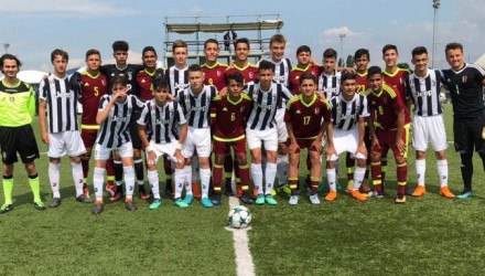 Vinotinto