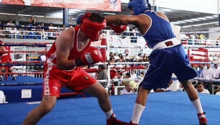 boxeo