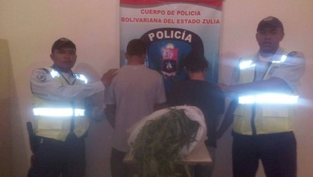 droga 11
