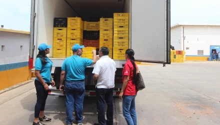 07 08 2018 EM Busqueda de Pollos para Niños 33