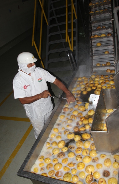 Productores arriman 16 TN de sus cosechas a FRUTIMARCA y Corpozulia procesa productos 6 08.06.2018 GRABACIÒN PROGRAMA DE ARIAS - FRUTIMARCA 005