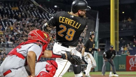 Cervelli