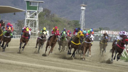 Hipismo1