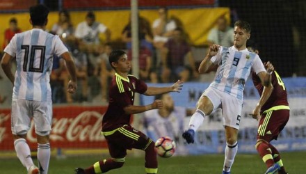 Vinotinto 1
