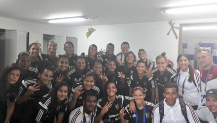 Vinotinto
