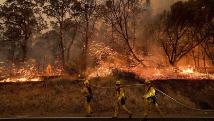 bomberos incendio forestal