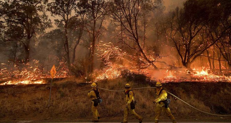 bomberos incendio forestal
