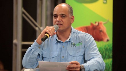 izarra 1100x618
